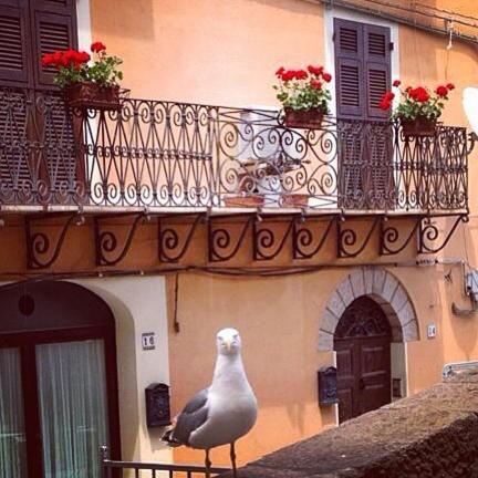L'Appogghju Bed & Breakfast Castelsardo Bagian luar foto